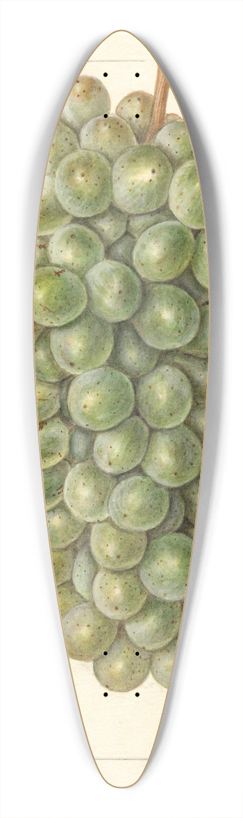 Ellen Isham Schutt - Vitis: Palarusa 39.3 inch art pintail longboard deck