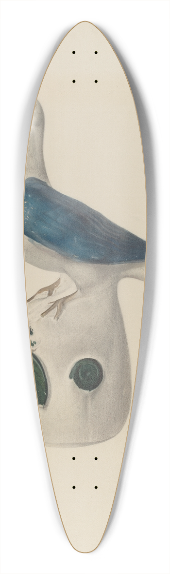 Emanuel Jacobson - Bank Pidgeon 39.3 inch art pintail longboard deck