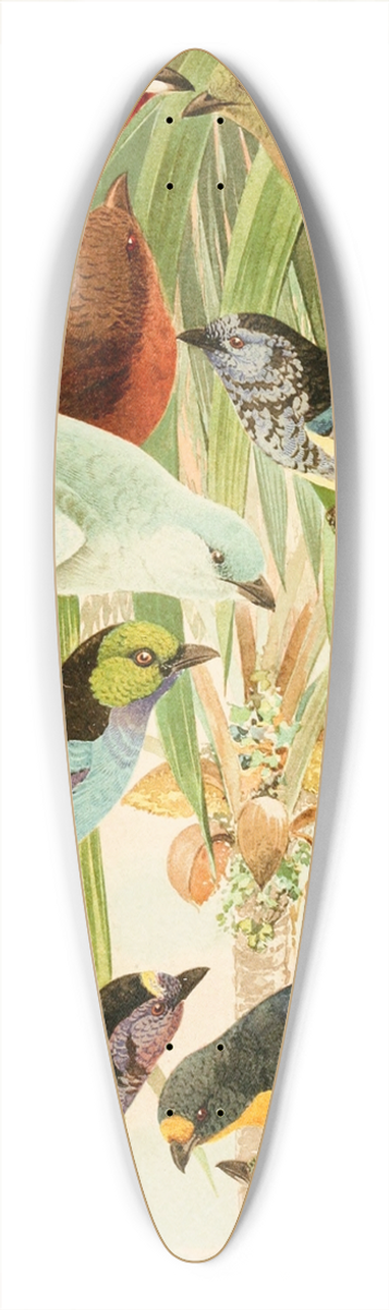 Emil August Gldi - Pipiras, Sahys, Tem-tems 39.3 inch art pintail longboard deck