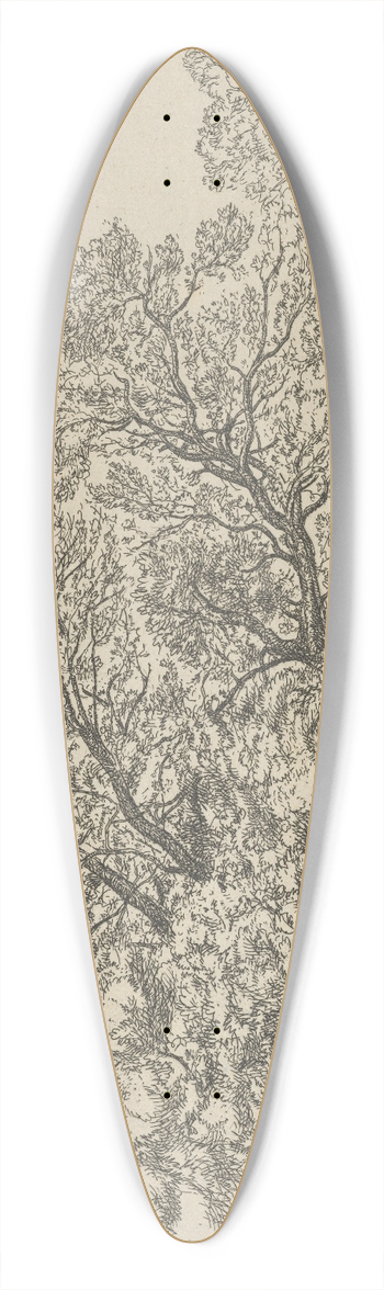 Ernest Haskell - Alna Willows 39.3 inch art pintail longboard deck