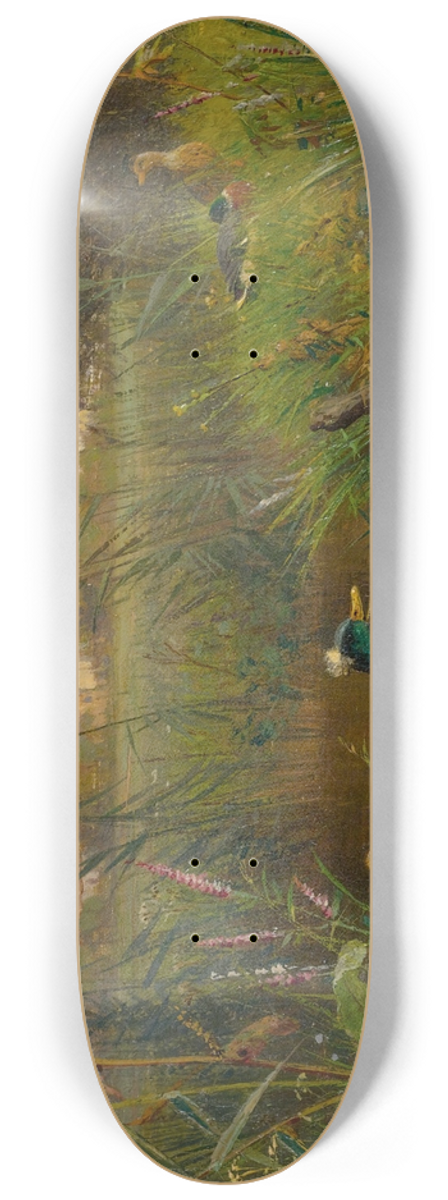 Carl Jutz - Ducks 8.25 inch art skate deck