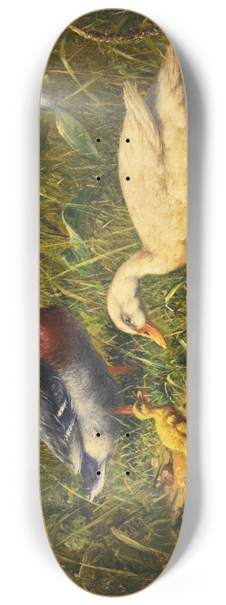 Carl Jutz - Enten mit Jungen am Wasser 8.25 inch art skate deck
