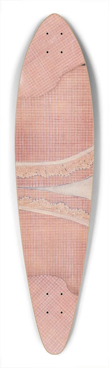 Evelyn Bailey - Childs Jacket 39.3 inch art pintail longboard deck