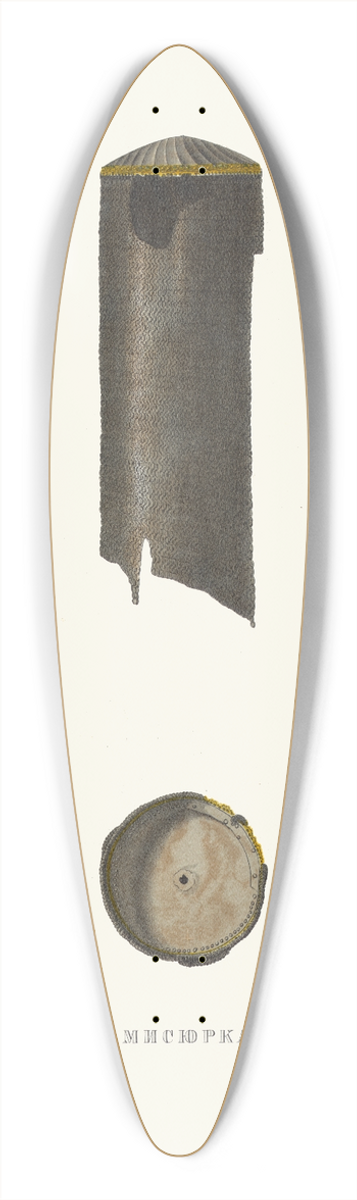 Fedor Grigoryevich Solntsev - Misiurka 39.3 inch art pintail longboard deck
