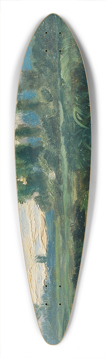 Ferdinand Engelmller - Elbeland 39.3 inch art pintail longboard deck
