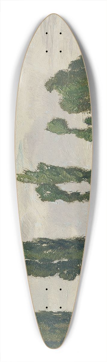 Ferdinand Engelmller - Tborsko 39.3 inch art pintail longboard deck
