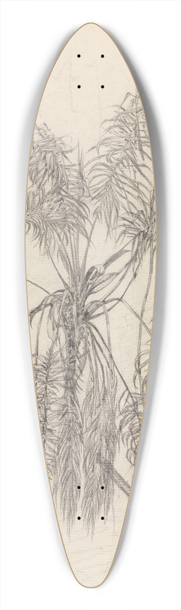 Ferdinand Keller - Palmenstudie 39.3 inch art pintail longboard deck