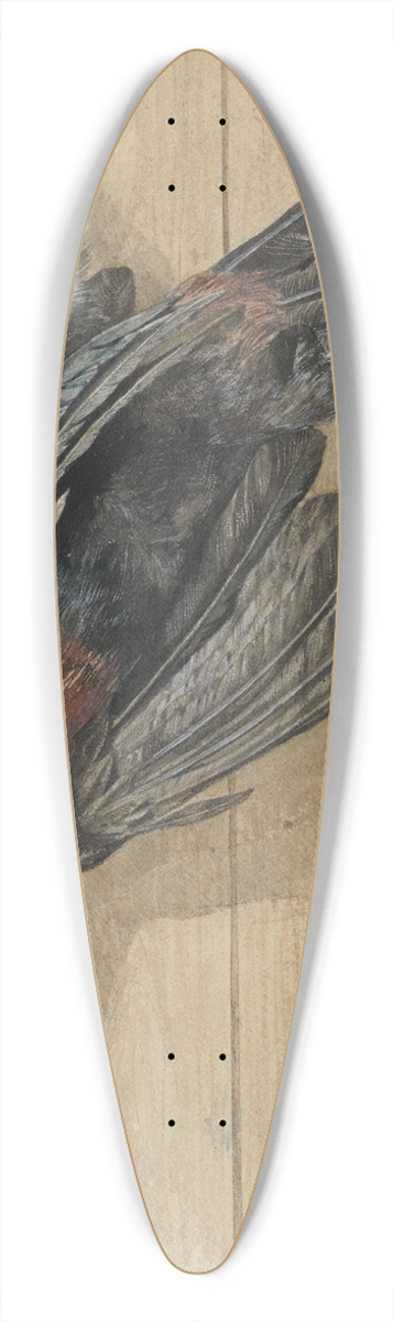 Ferdinand Keller - Studie eines toten Tukan-Vogels 39.3 inch art pintail longboard deck