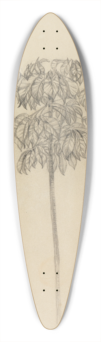 Ferdinand Keller - Studie Faultierbaum 39.3 inch art pintail longboard deck