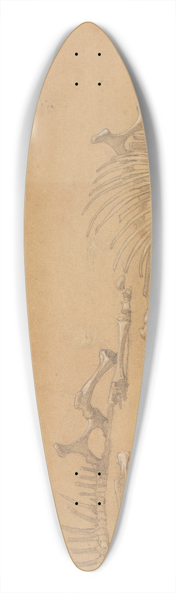 Ferdinand Keller - Tierskelett 39.3 inch art pintail longboard deck