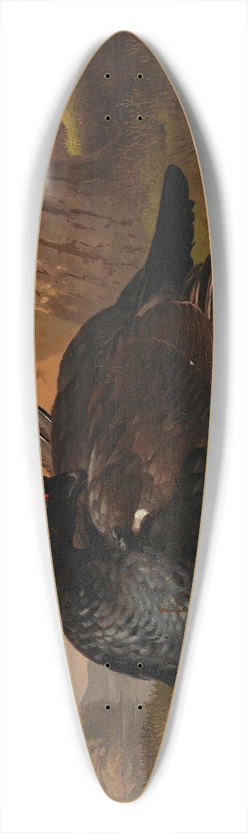 Ferdinand von Wright - Black Grouse 39.3 inch art pintail longboard deck