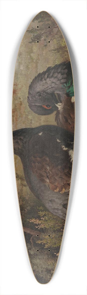 Ferdinand von Wright - Capercaillie Cocks 39.3 inch art pintail longboard deck