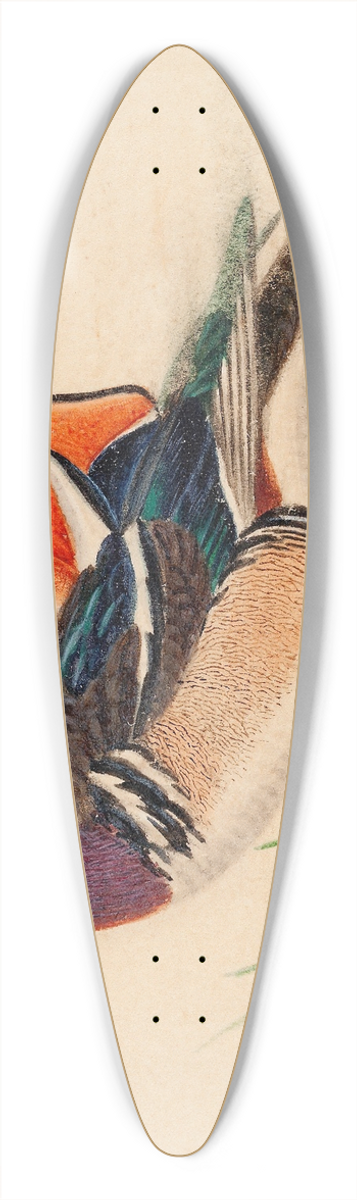Ferdinand von Wright - Mandarin Duck 39.3 inch art pintail longboard deck