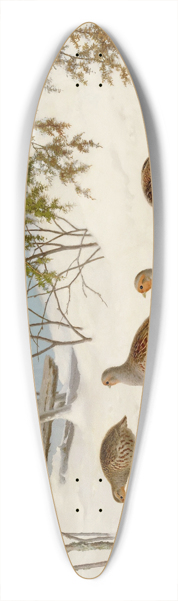 Ferdinand von Wright - Partridges In Snow 39.3 inch art pintail longboard deck