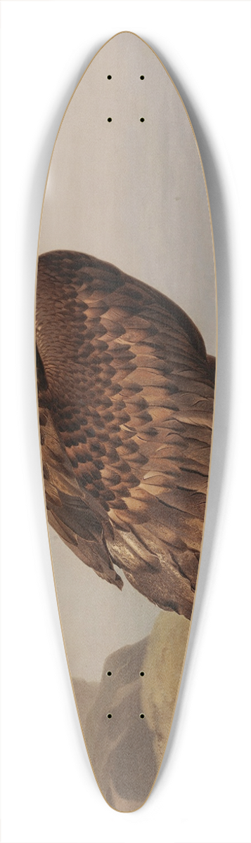 Ferdinand von Wright - White-Tailed Eagle With Its Prey 39.3 inch art pintail longboard deck