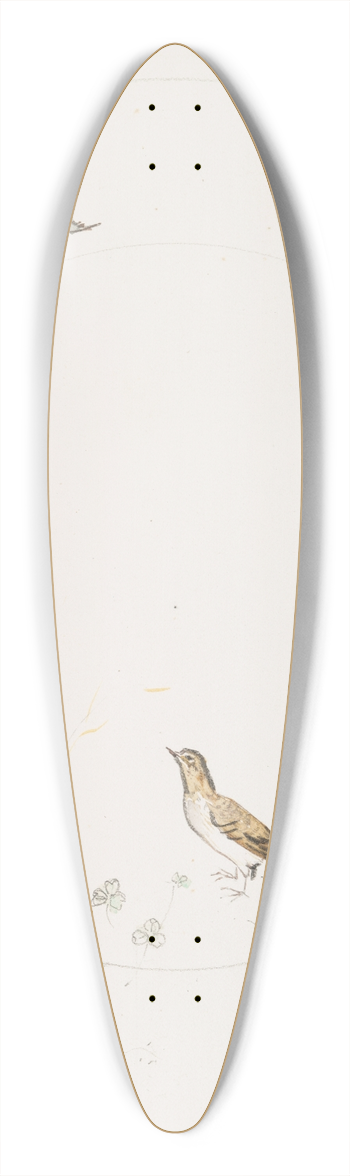 Flix Bracquemond - Lorage. 39.3 inch art pintail longboard deck