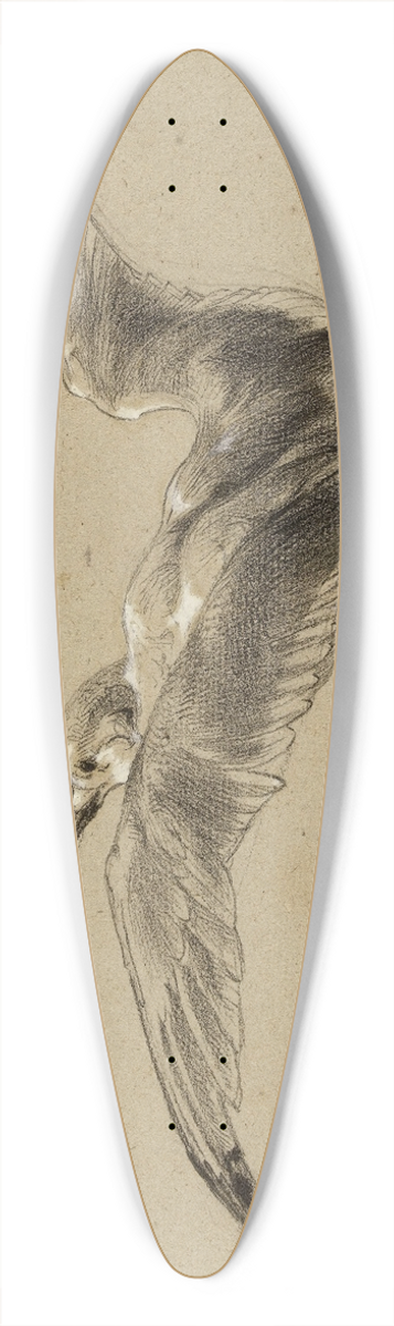 Flix Bracquemond - Mouettes 39.3 inch art pintail longboard deck