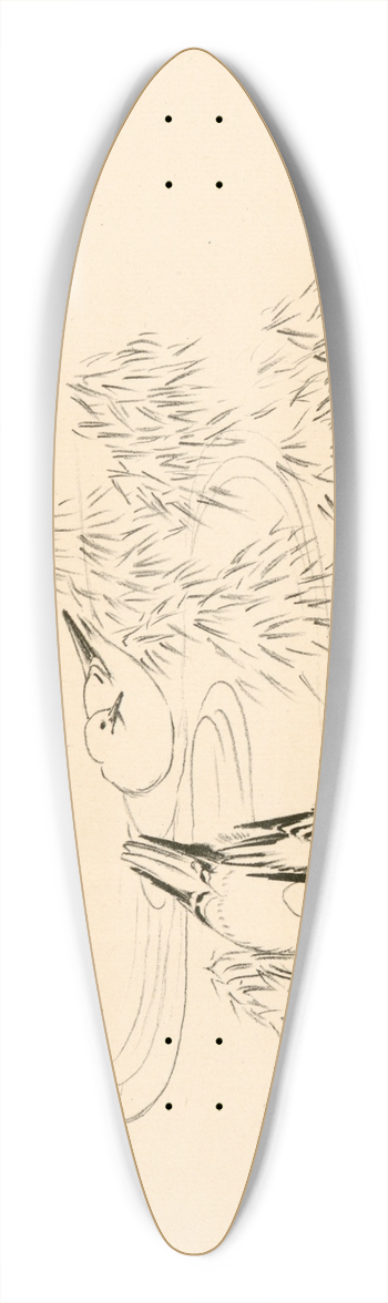 Flix Bracquemond - Petites mouettes dans leau. 39.3 inch art pintail longboard deck