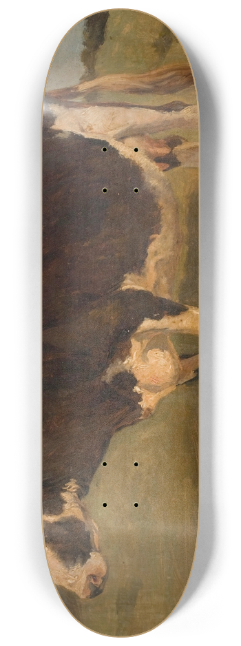 Carlo Dalgas - Black and white cow standing. Study 8.25 inch art skate deck