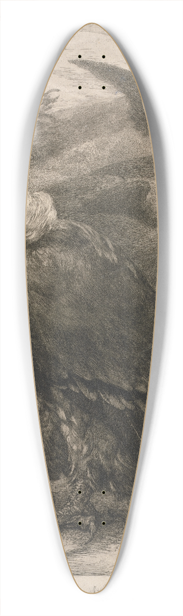 Flix Bracquemond - Vulture 39.3 inch art pintail longboard deck
