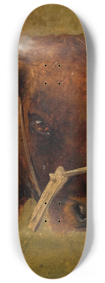 Carlo Dalgas - Head of a cow. Study 8.25 inch art skate deck