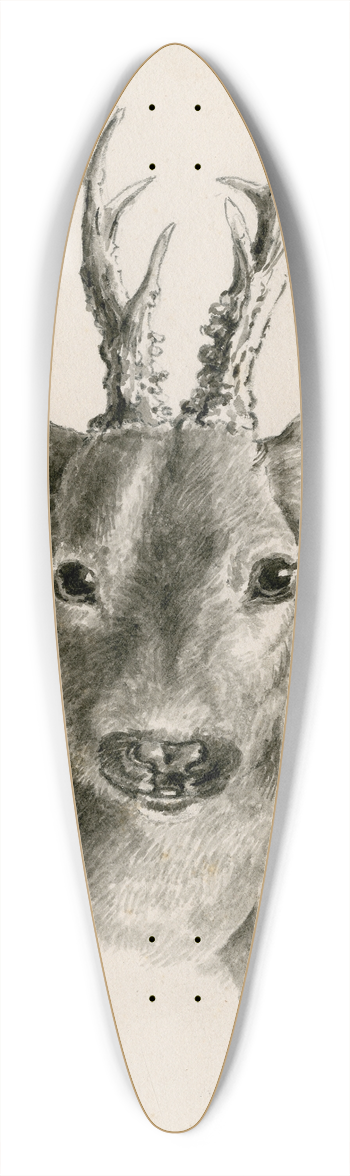 Floris Verster - Head of a deer 39.3 inch art pintail longboard deck