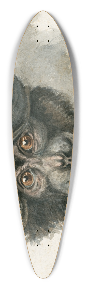 Floris Verster - Head of a monkey 39.3 inch art pintail longboard deck