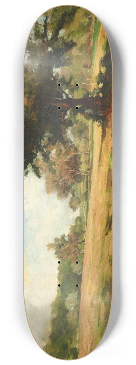 Carlo Follini - Study for La Siesta 8.25 inch art skate deck