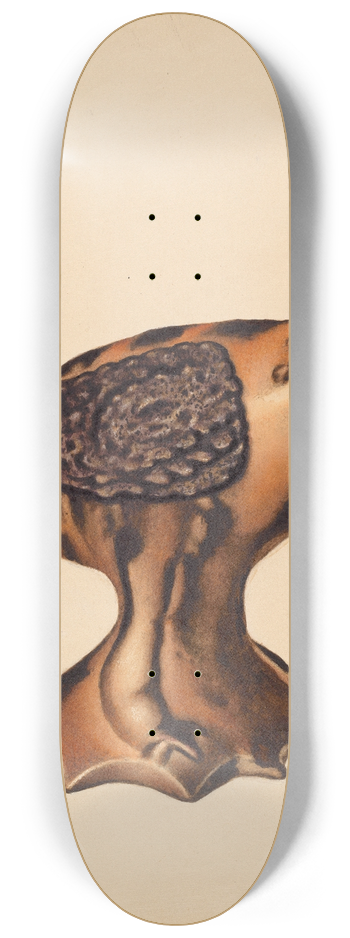 Aaron Fastovsky - Bank 8.25 inch art skate deck