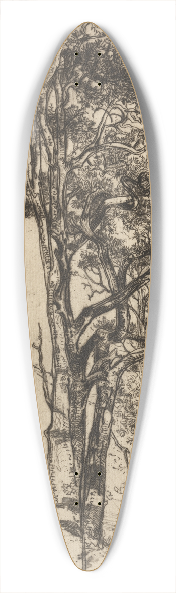 Francis Seymour Haden - High Park 39.3 inch art pintail longboard deck