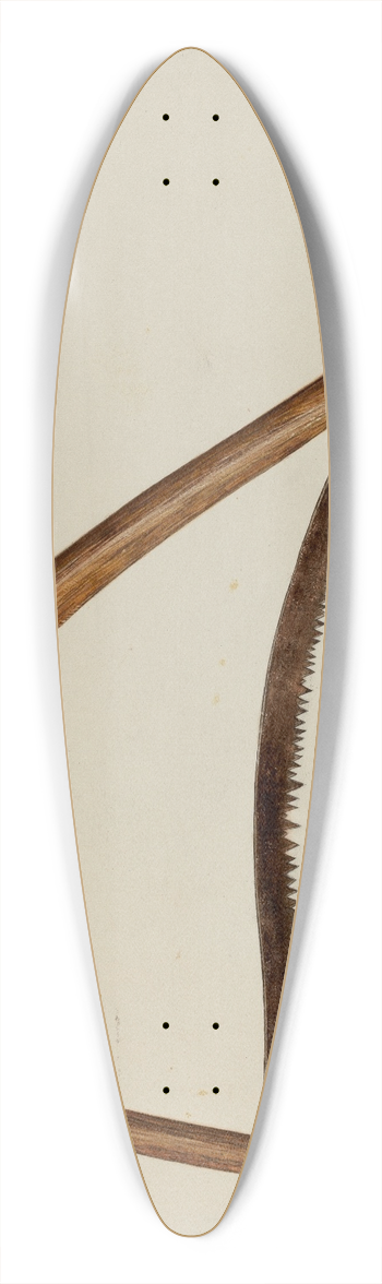 Frank Budash - Saw 39.3 inch art pintail longboard deck