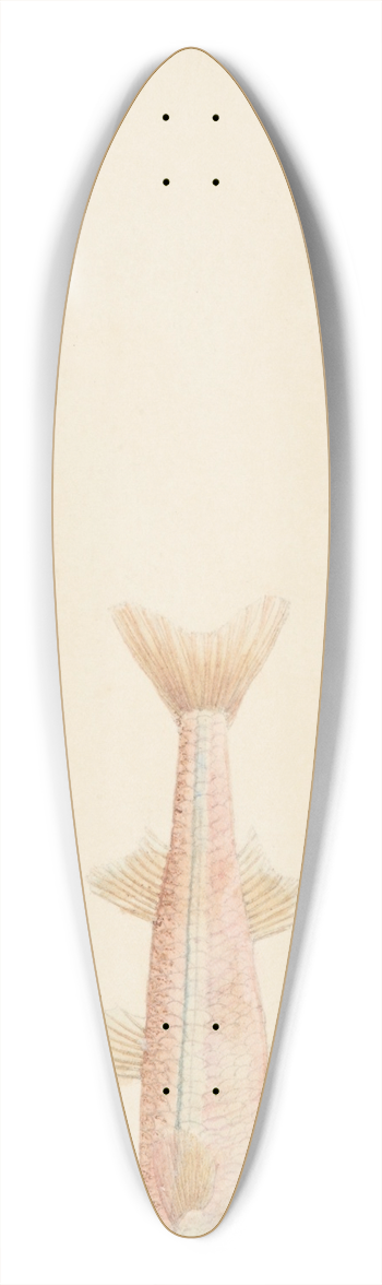 Frank Edward Clarke - Athennidae (Tas) 39.3 inch art pintail longboard deck