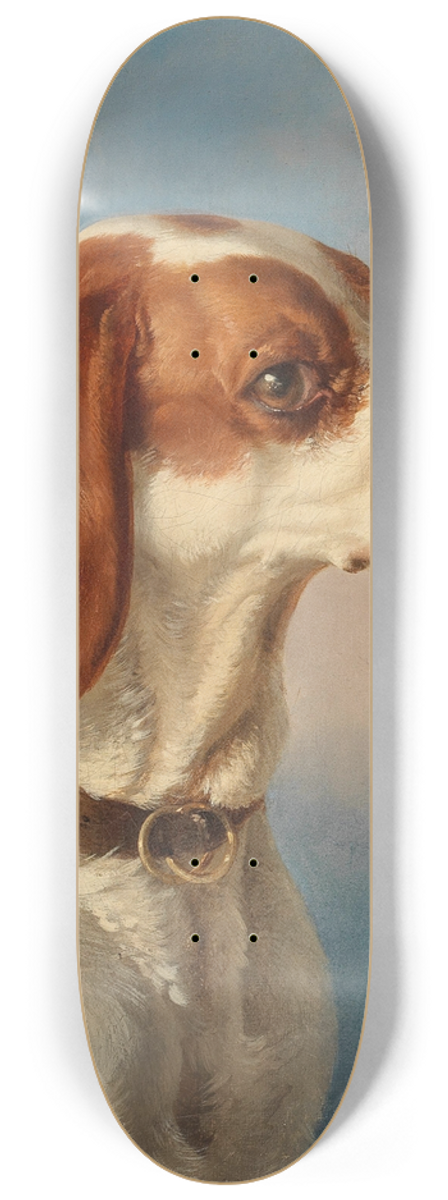 Carl Pischinger - Ein Foxl 8.25 inch art skate deck