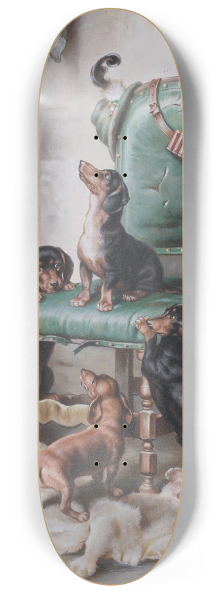 Carl Reichert - Out of reach 8.25 inch art skate deck