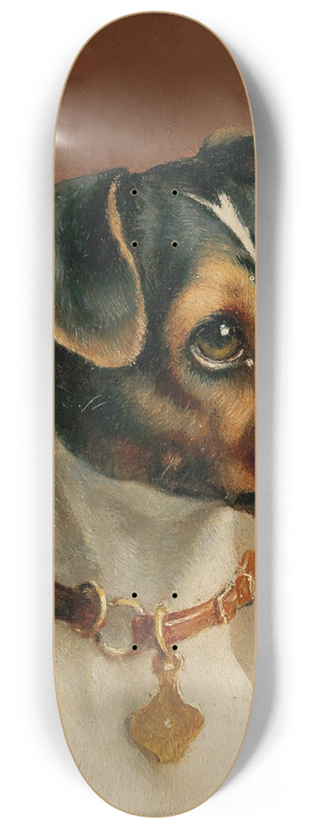 Carl Reichert - Portrait of a Jack Russel Terrier 8.25 inch art skate deck