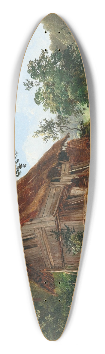 Franz Steinfeld - Derelict House 39.3 inch art pintail longboard deck