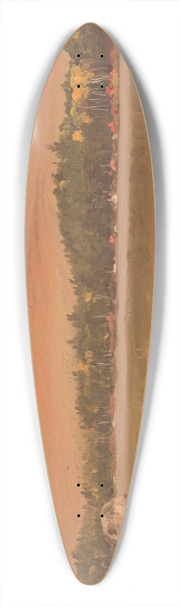 Frederic Edwin Church - Mt. Katahdin from Togue Pond 39.3 inch art pintail longboard deck