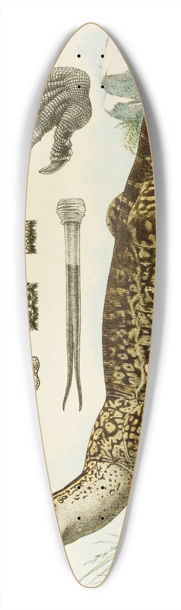 Frederick McCoy - Reptiles I 39.3 inch art pintail longboard deck