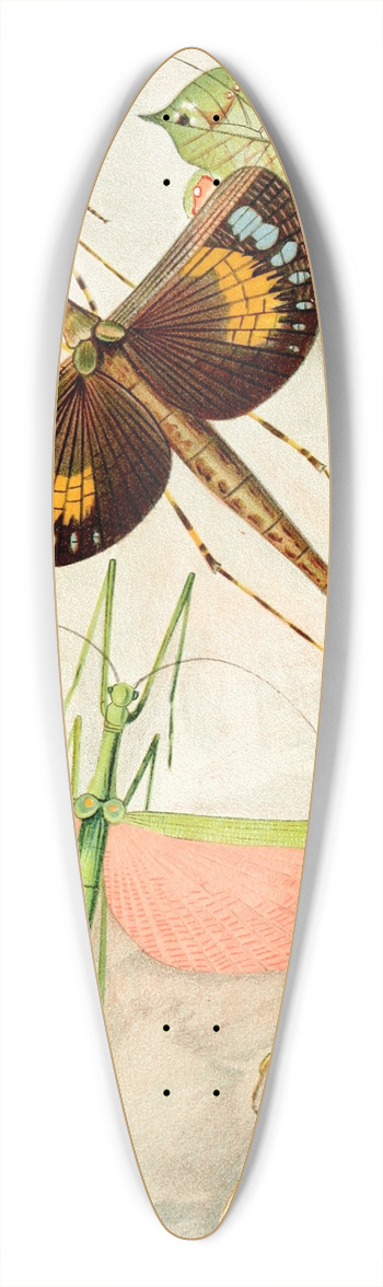 Frederick William Frohawk - Orthoptera 39.3 inch art pintail longboard deck