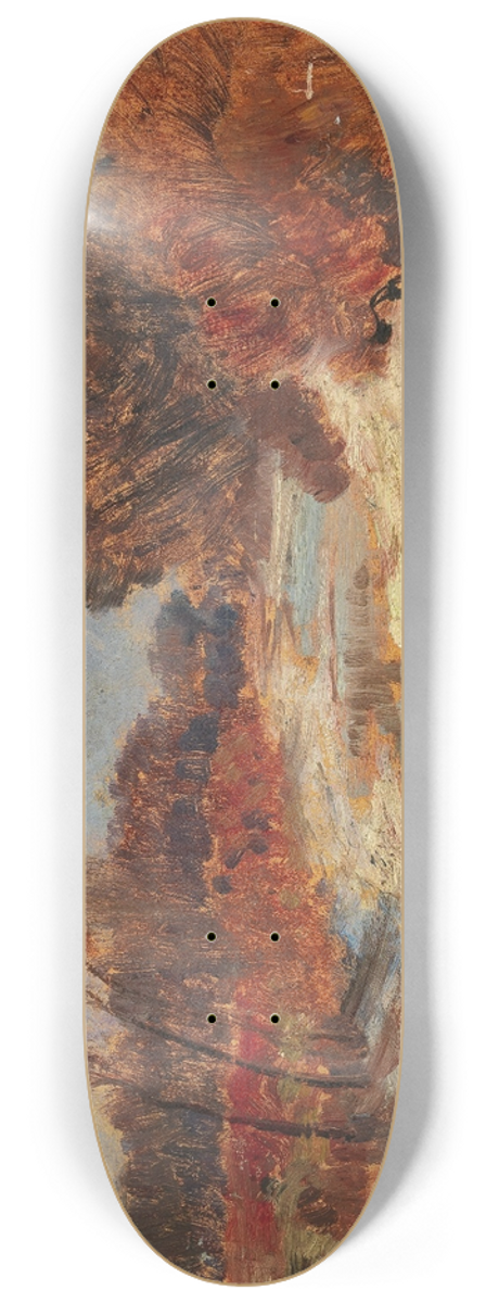 Carl Weiss - Donau-Au 8.25 inch art skate deck