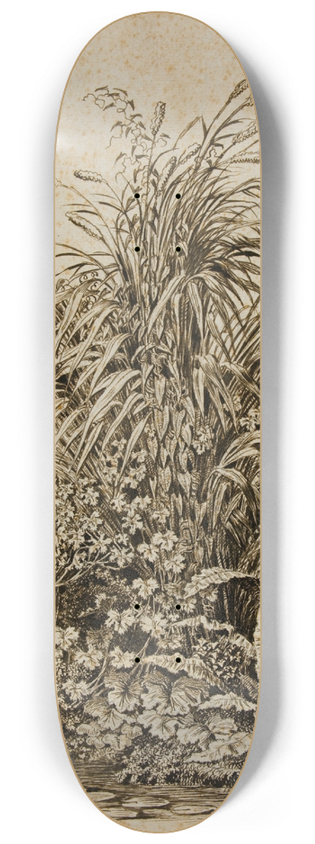 Carl Wilhelm Kolbe the elder - Plants at Waters Edge 8.25 inch art skate deck