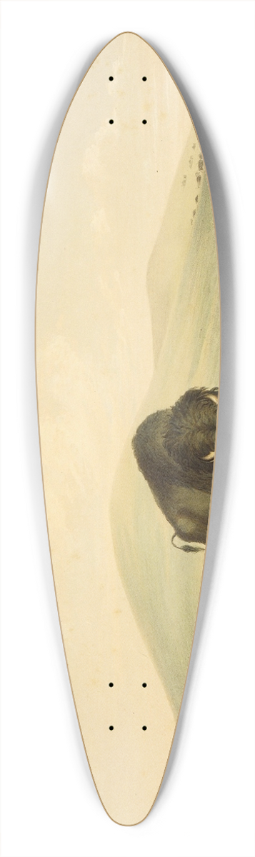 George Catlin - Buffalo Hunt; White Wolves Attacking Buffalo Bull 39.3 inch art pintail longboard deck