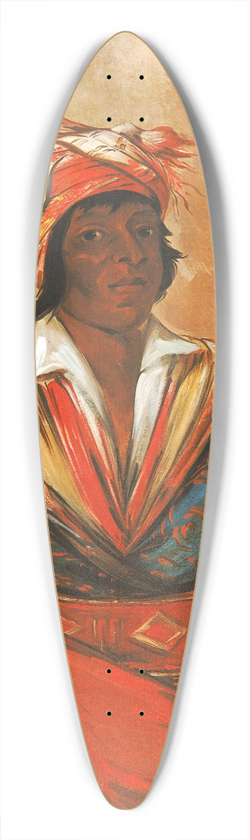 George Catlin - Kt-tee-o-tb-bee, How Did He Kill, a Noted Brave 39.3 inch art pintail longboard deck