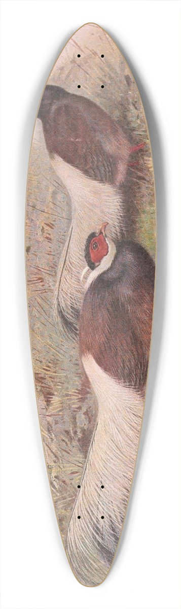George Edward Lodge - Brown Eared-Pheasant 39.3 inch art pintail longboard deck