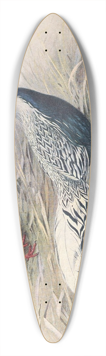 George Edward Lodge - Hainan Silver Kaleege 39.3 inch art pintail longboard deck