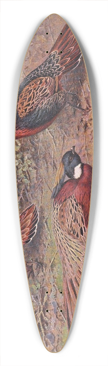 George Edward Lodge - Kashmir Koklass Pheasant, Western Koklass Pheasant, Nepal Koklass Pheasant 39.3 inch art pintail longboard deck
