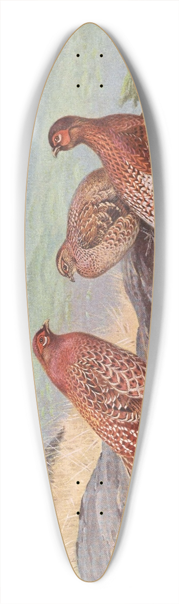 George Edward Lodge - Scintillating Copper Pheasant, Ijimas Copper Pheasant 39.3 inch art pintail longboard deck