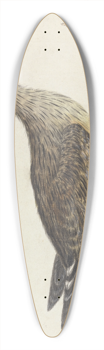 George Edwards - A Stone Curlew 39.3 inch art pintail longboard deck