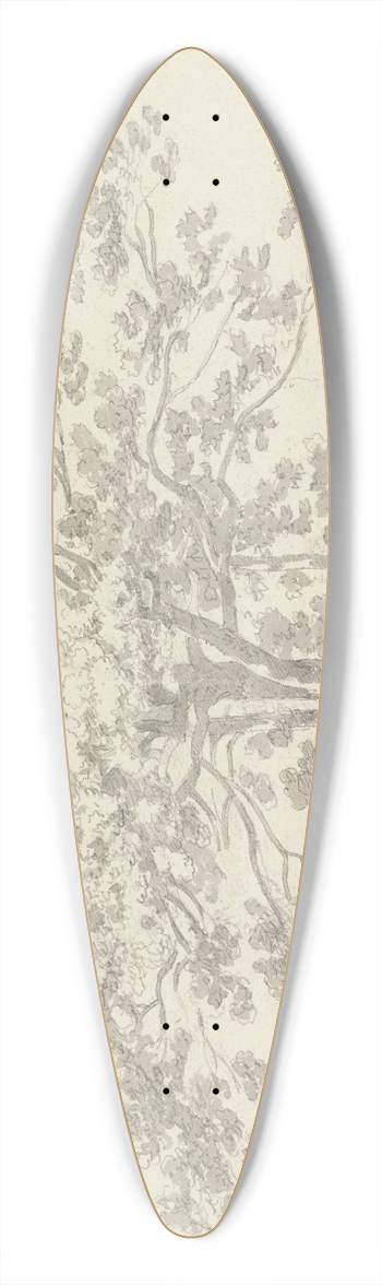 George Howland Beaumont - Tree 39.3 inch art pintail longboard deck
