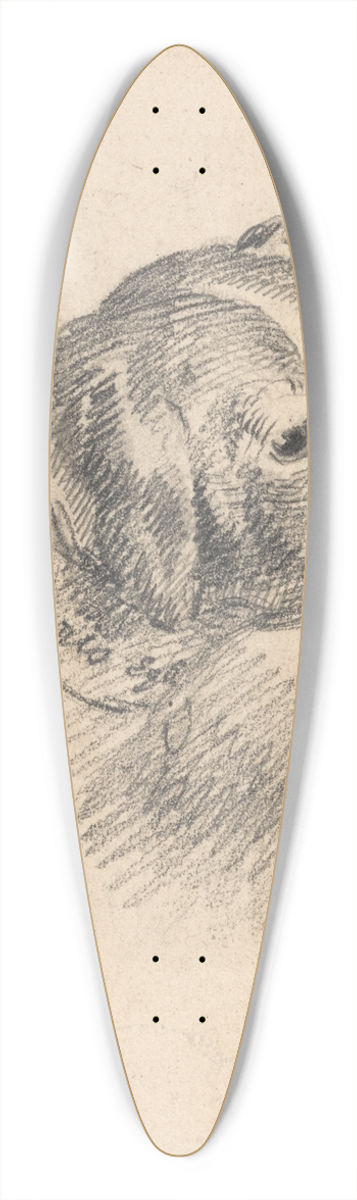 George Morland - Head of a Hound 39.3 inch art pintail longboard deck